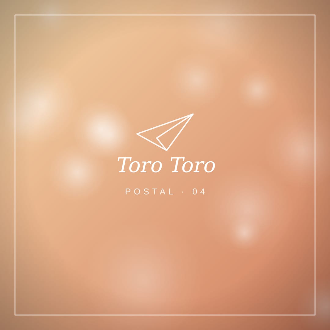 Toro Toro